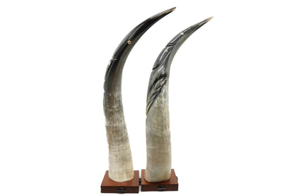 Pair of carved buffalo horns