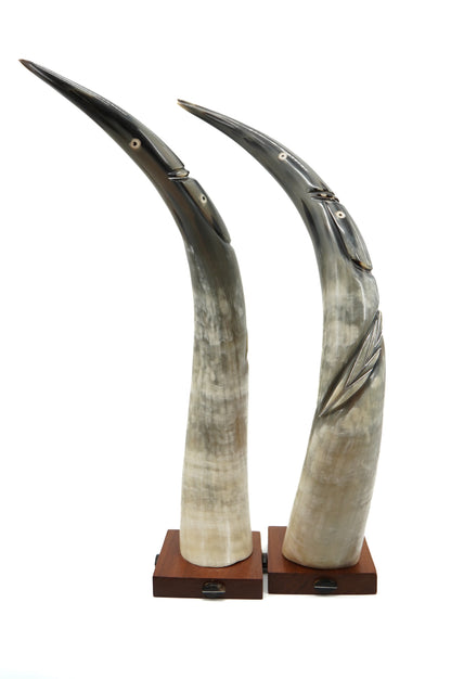 Pair of carved buffalo horns