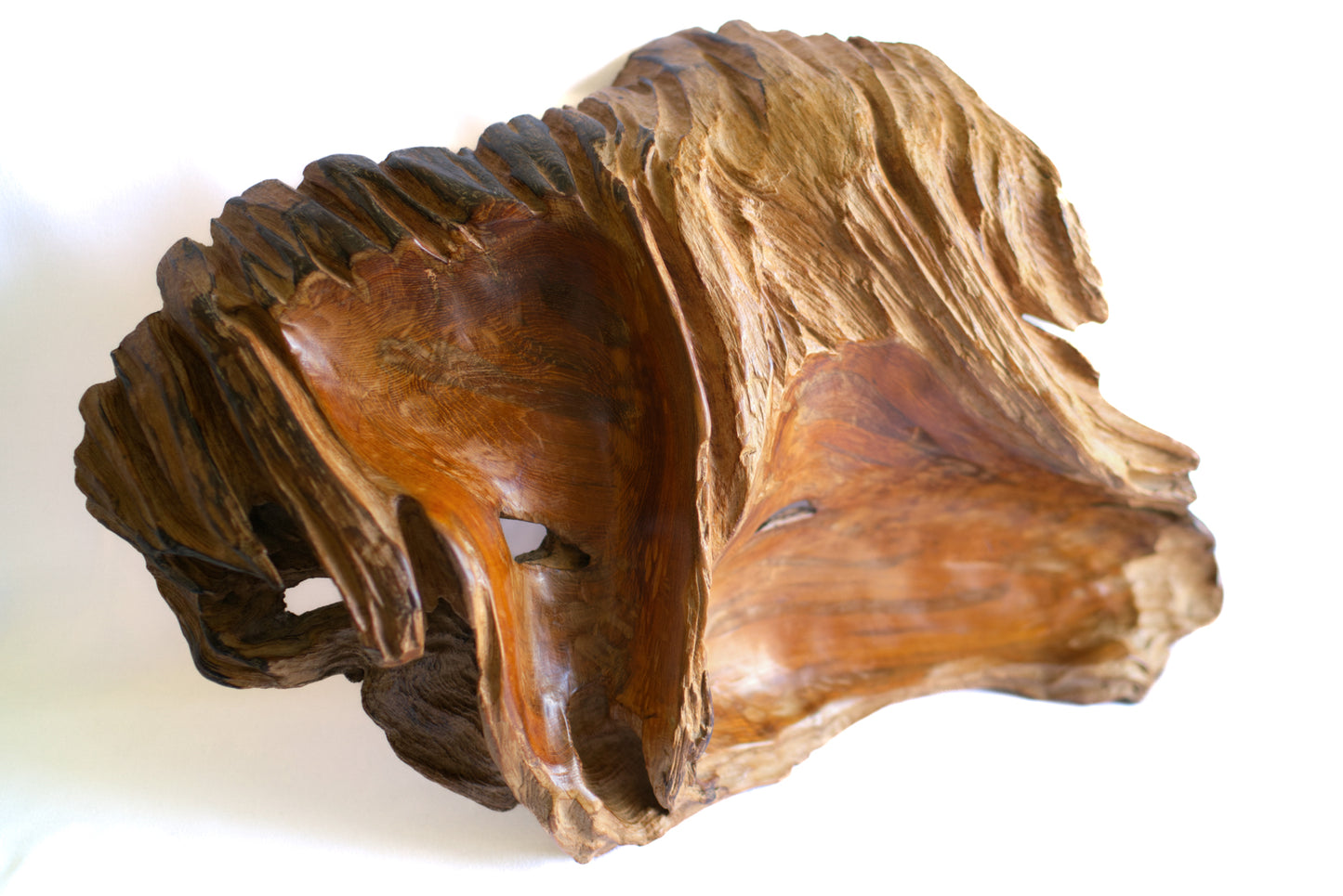 Callitris Stump Sculpture - Unique Piece